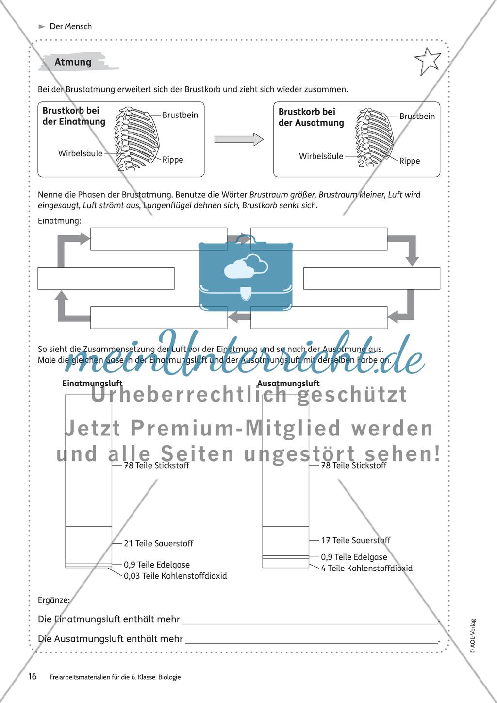 Der Mensch Preview 10