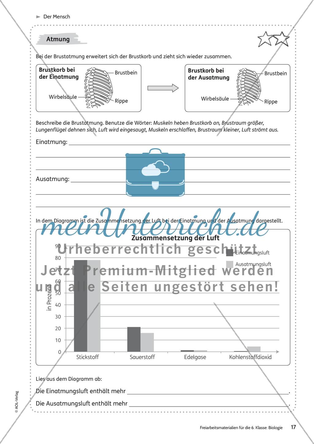 Der Mensch Preview 11