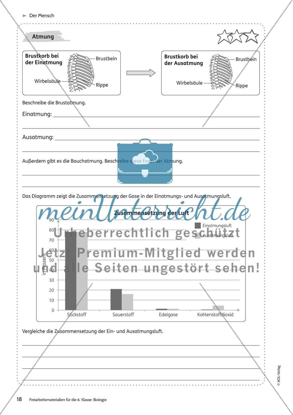 Der Mensch Preview 12