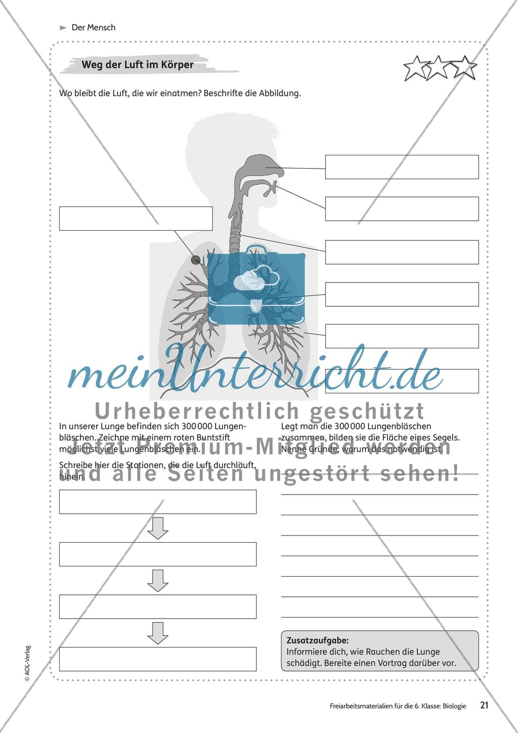 Der Mensch Preview 15