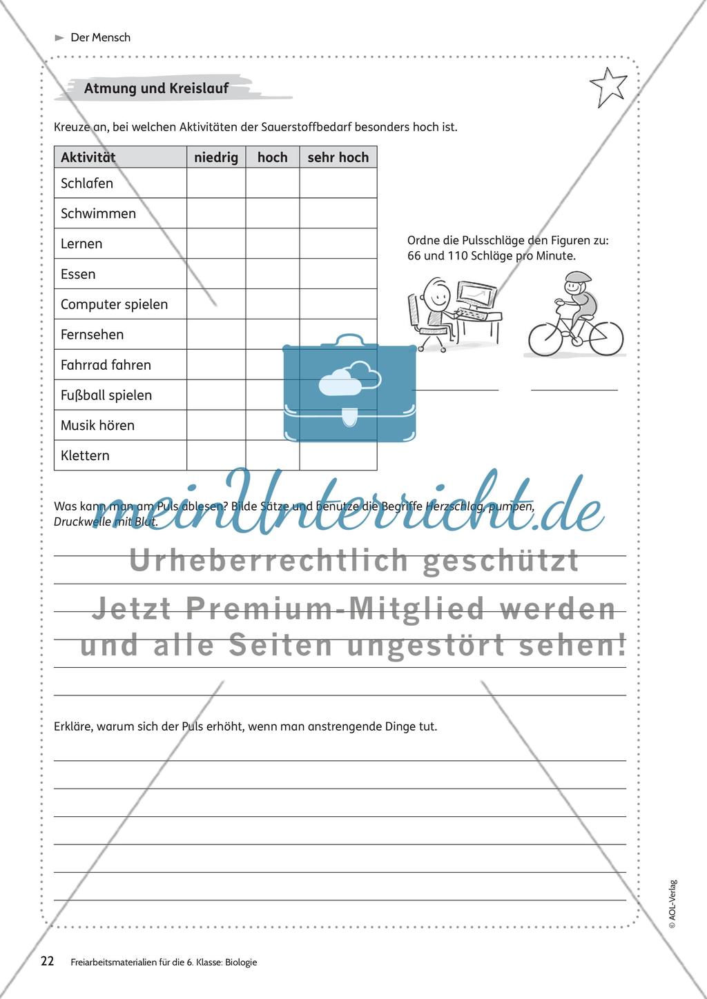 Der Mensch Preview 16