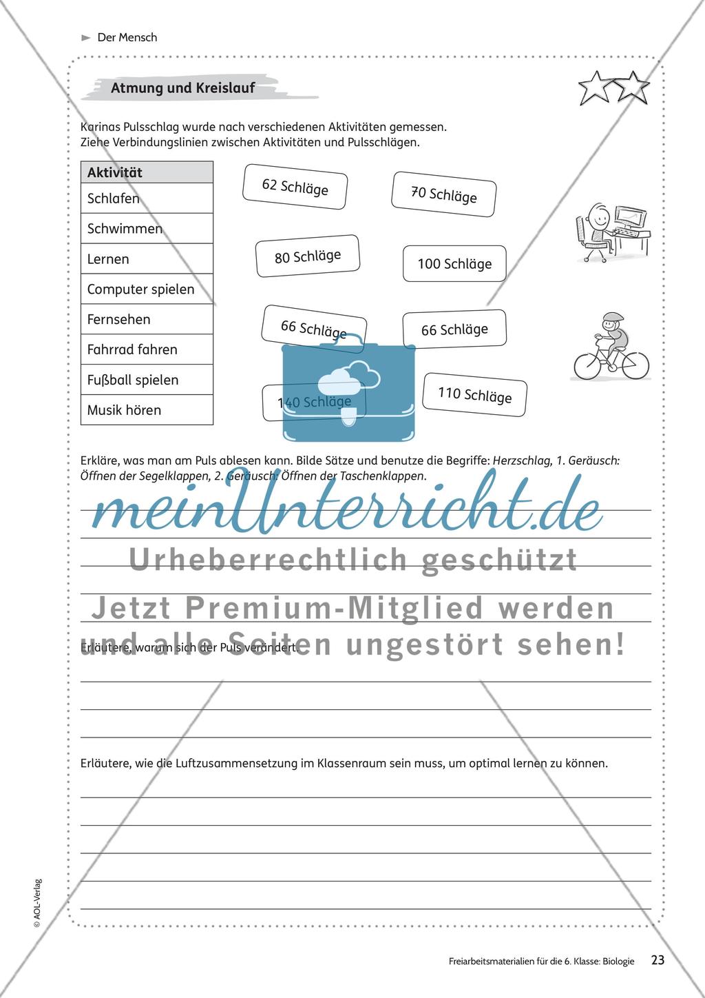 Der Mensch Preview 17