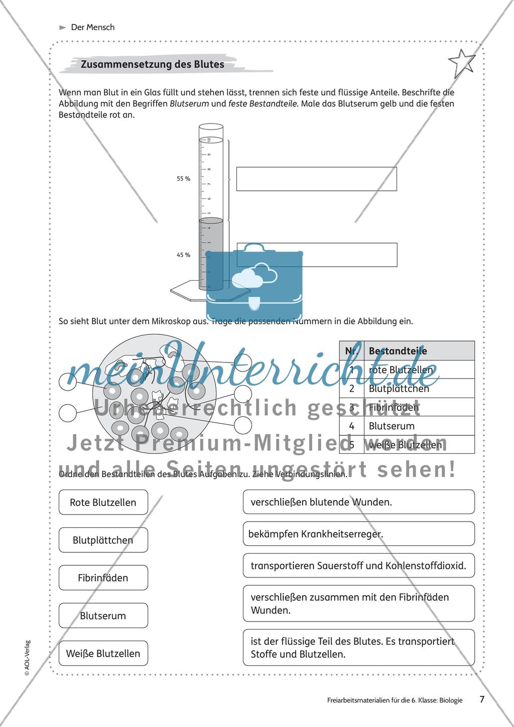 Der Mensch Preview 1