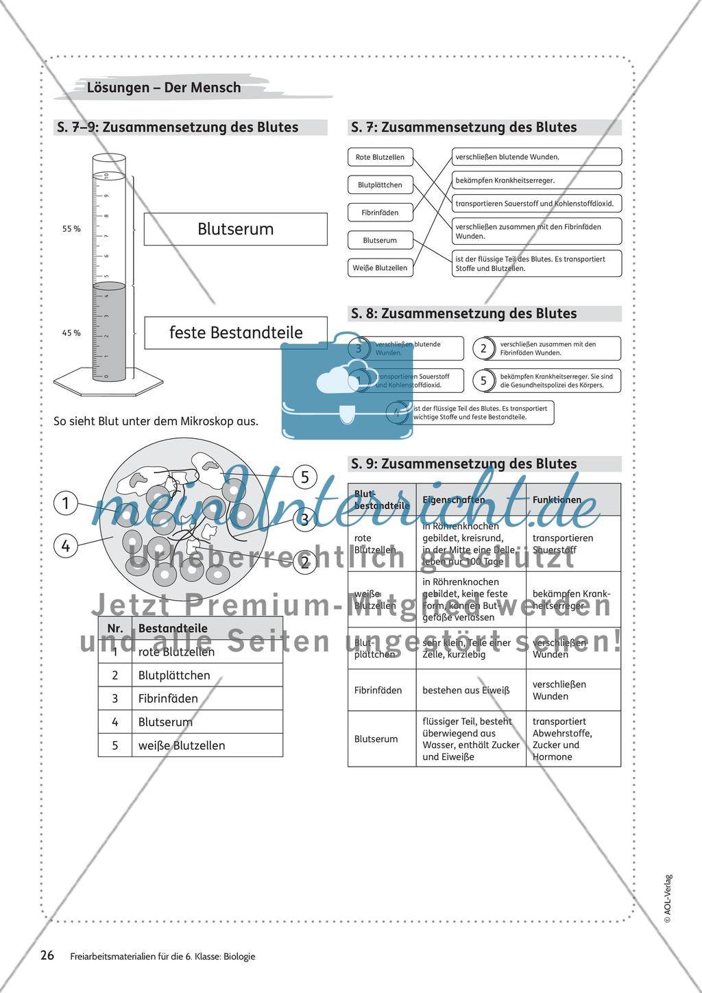 Der Mensch Preview 20
