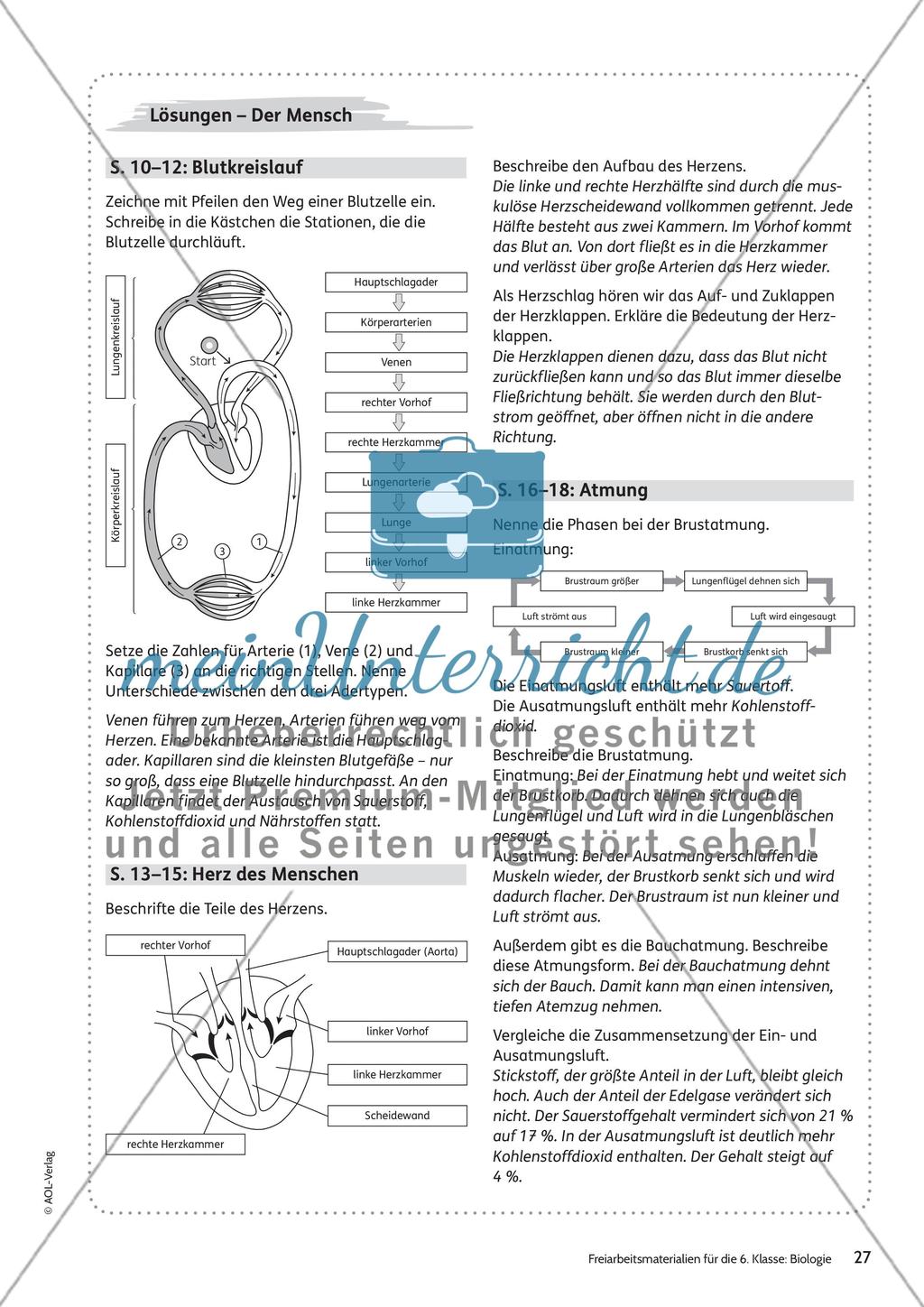 Der Mensch Preview 21