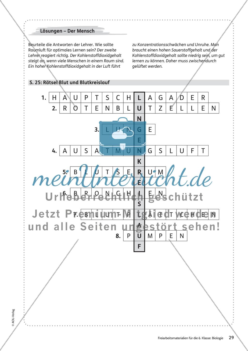 Der Mensch Preview 23