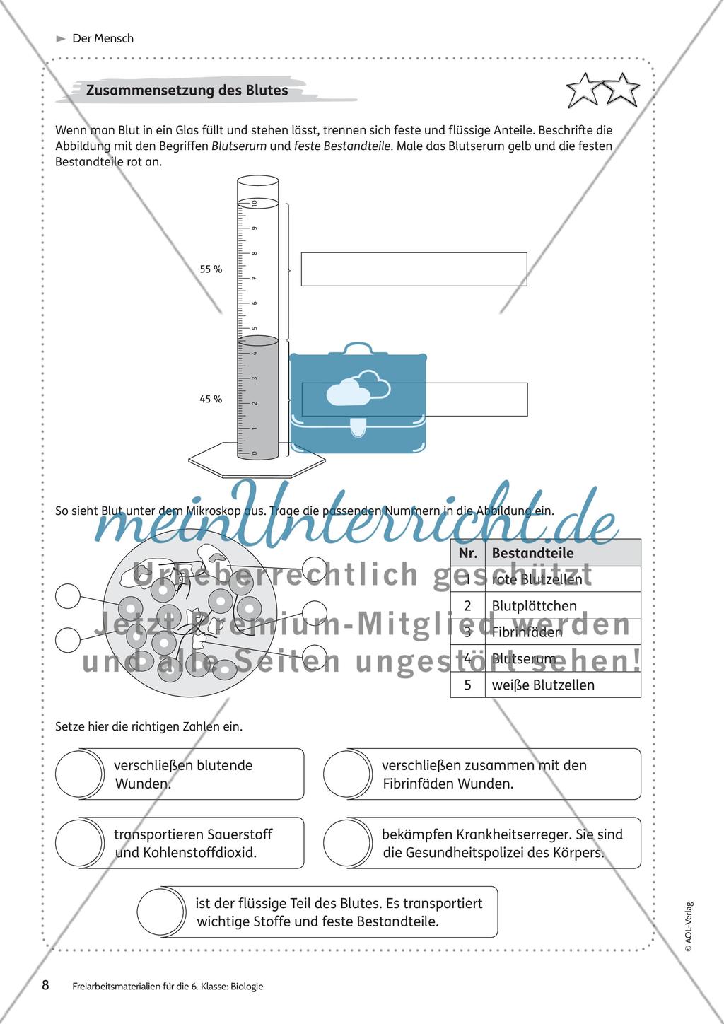 Der Mensch Preview 2