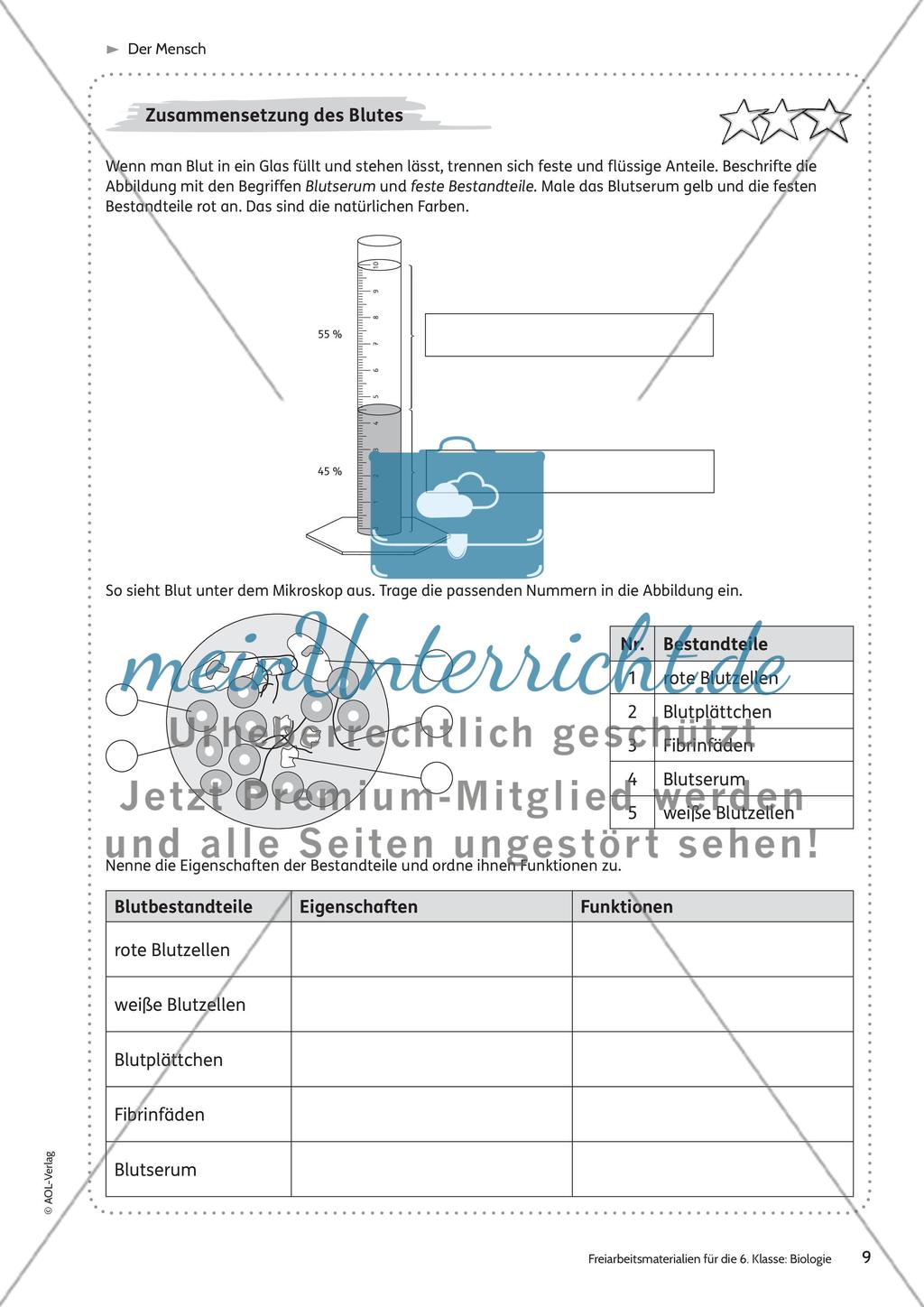 Der Mensch Preview 3