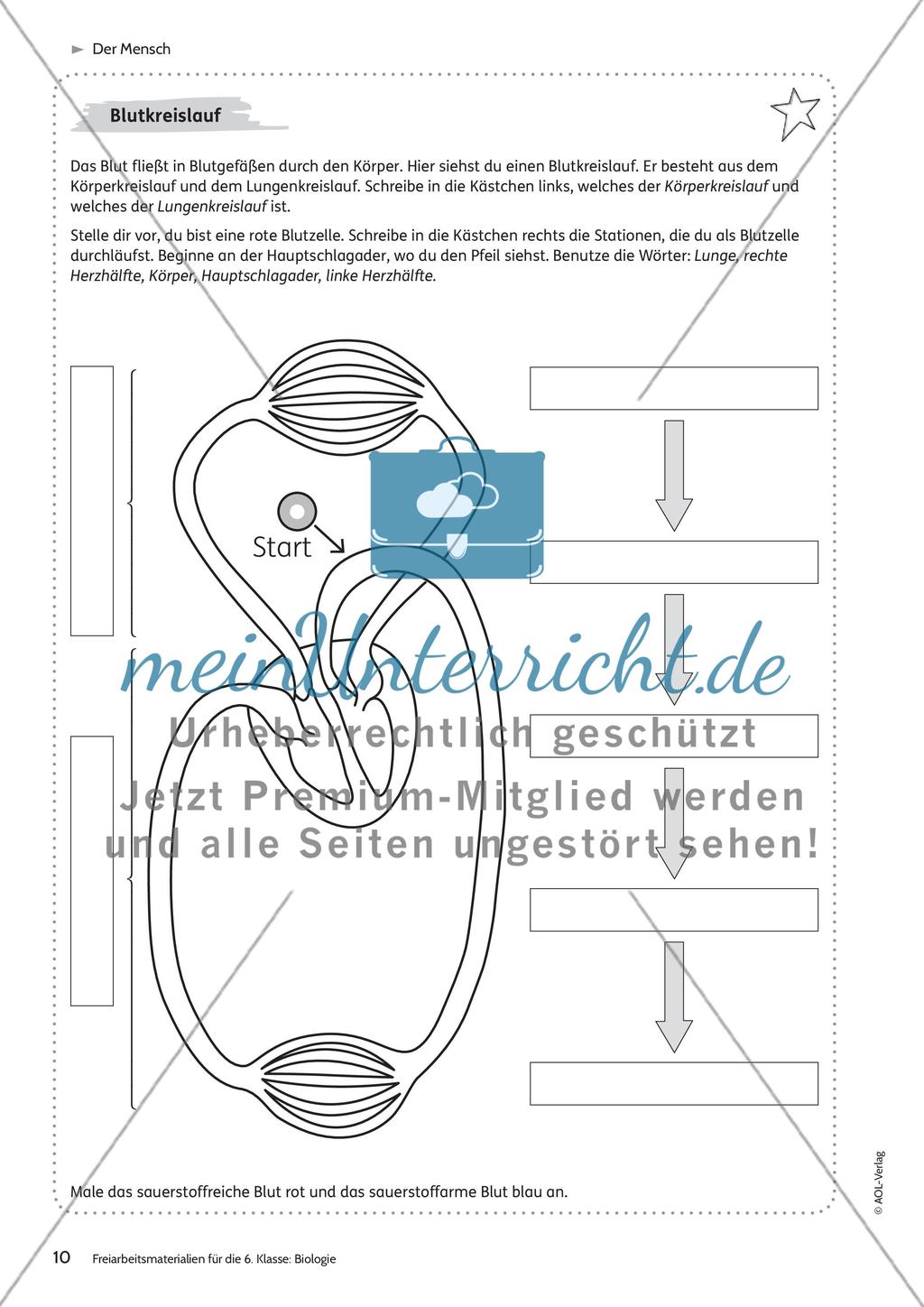Der Mensch Preview 4