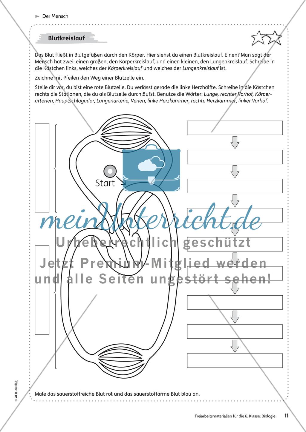 Der Mensch Preview 5