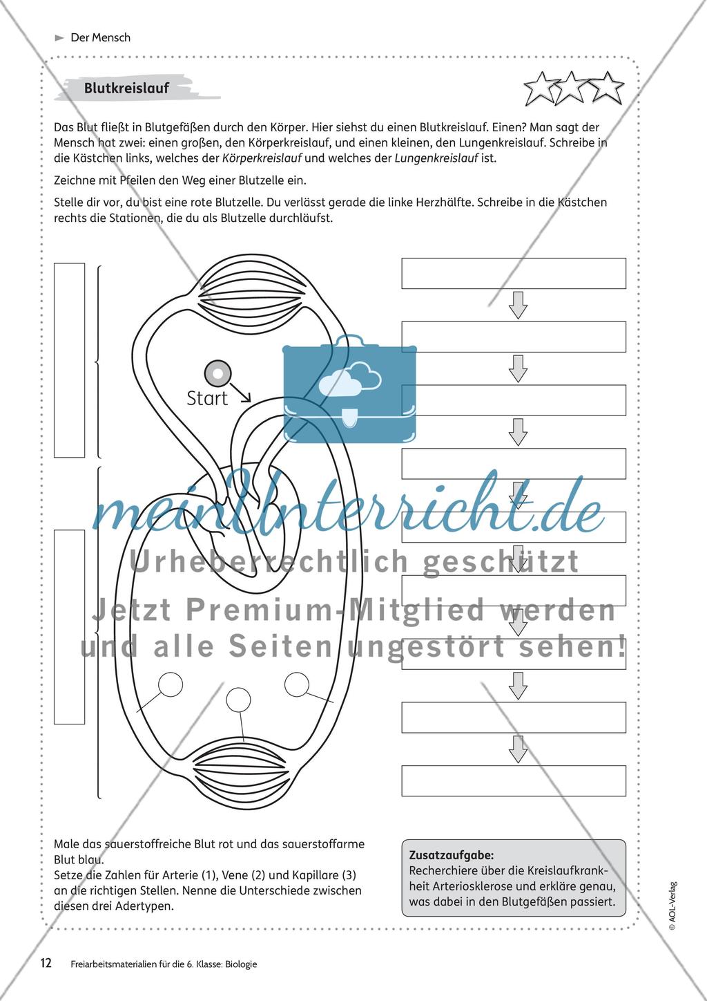 Der Mensch Preview 6