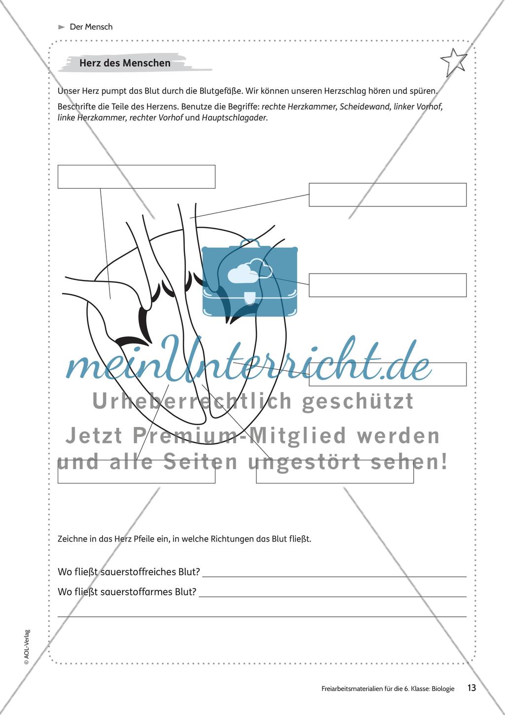 Der Mensch Preview 7
