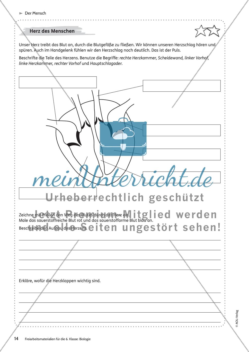 Der Mensch Preview 8