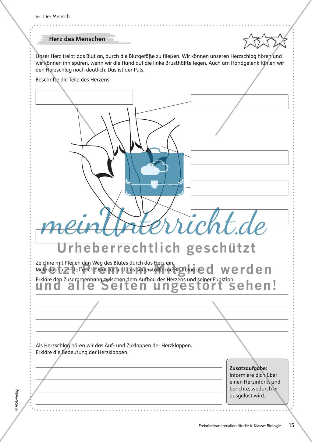 Der Mensch Preview 9