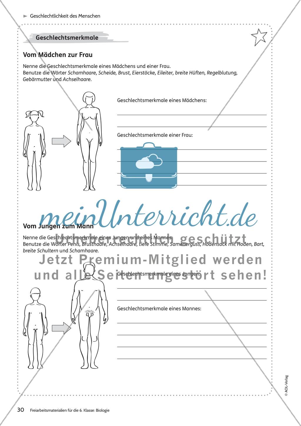 Geschlechtlichkeit des Menschen Preview 1