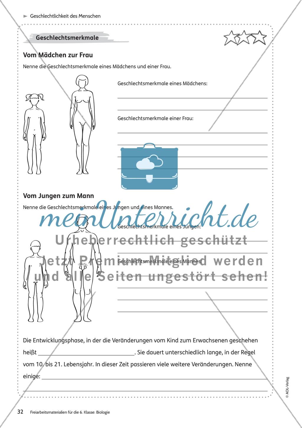 Geschlechtlichkeit des Menschen Preview 3