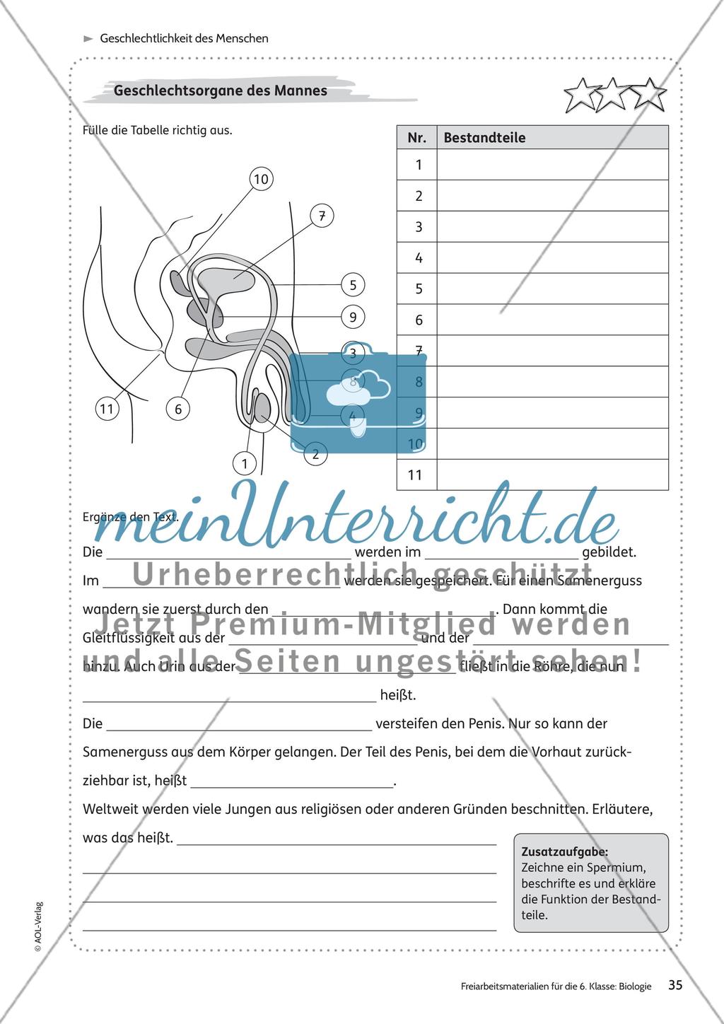 Geschlechtlichkeit des Menschen Preview 6