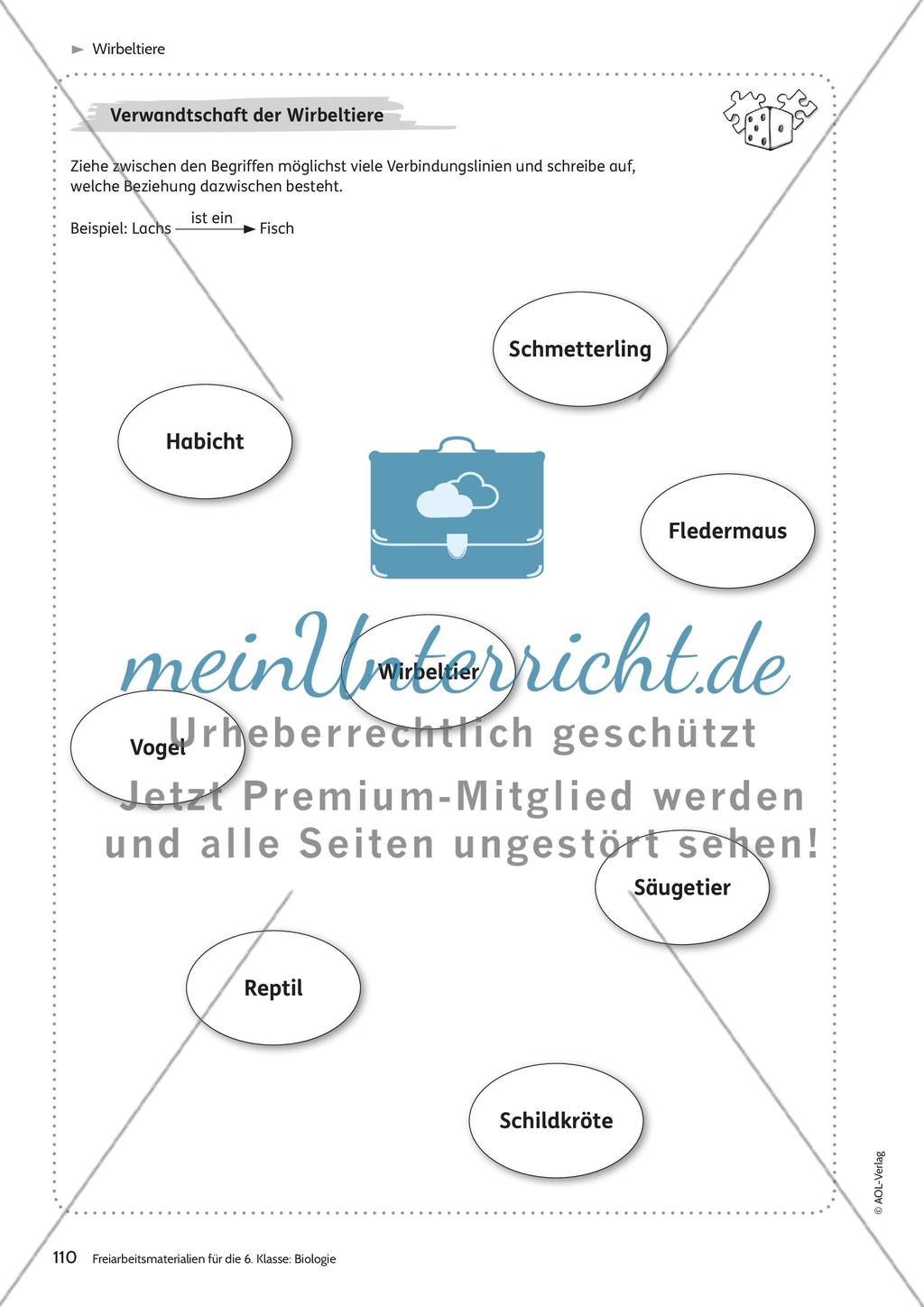 Wirbeltiere Preview 10