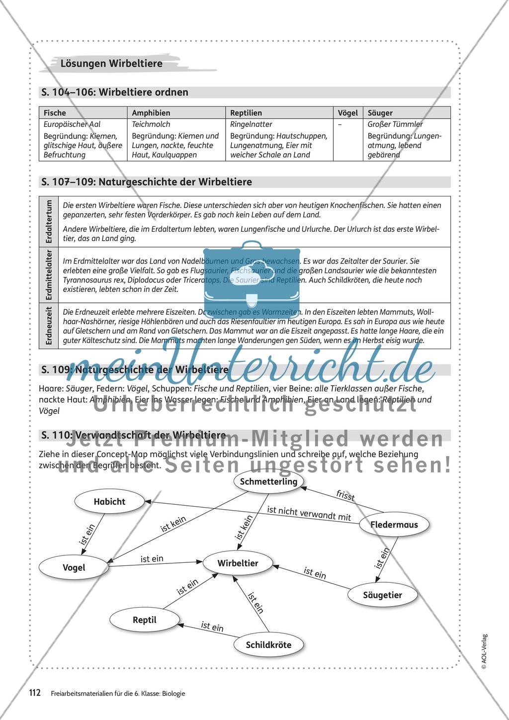Wirbeltiere Preview 12