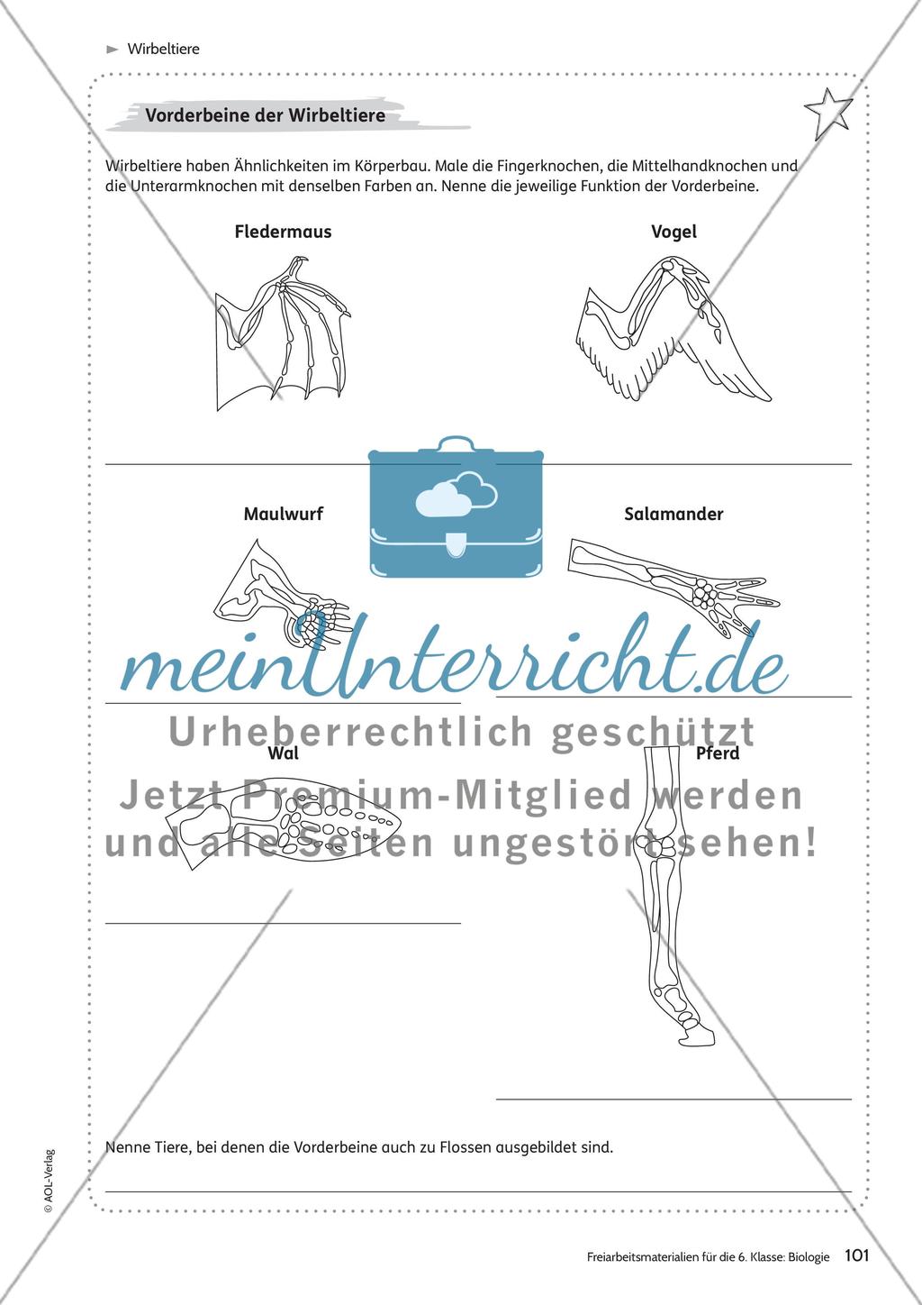 Wirbeltiere Preview 1