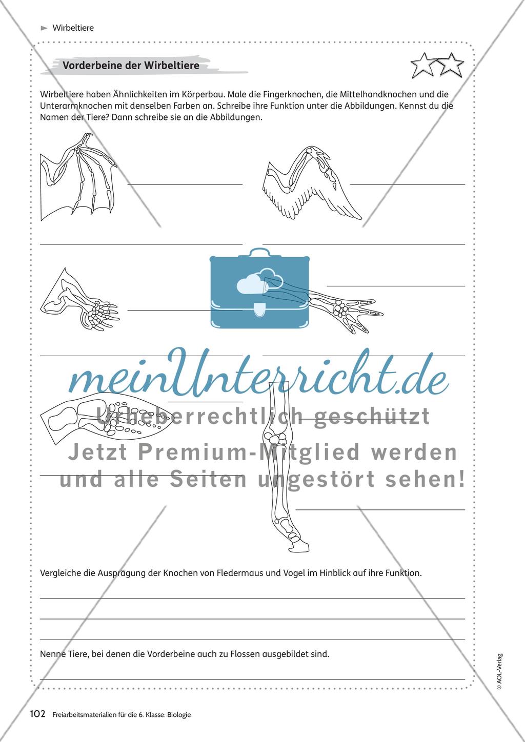 Wirbeltiere Preview 2