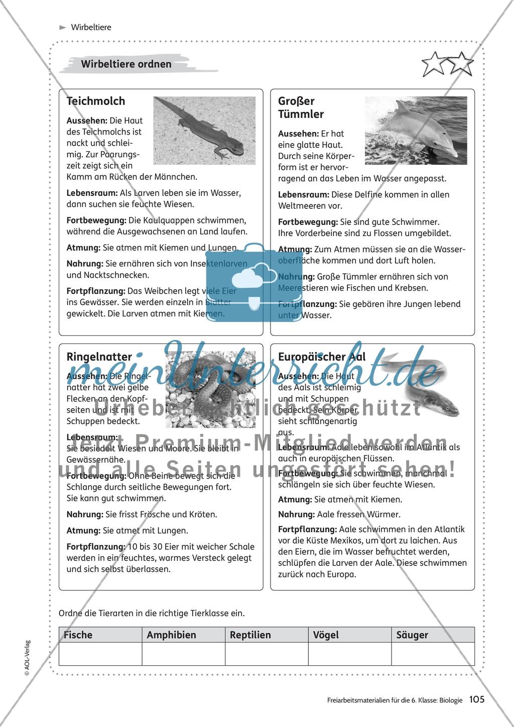 Wirbeltiere Preview 5