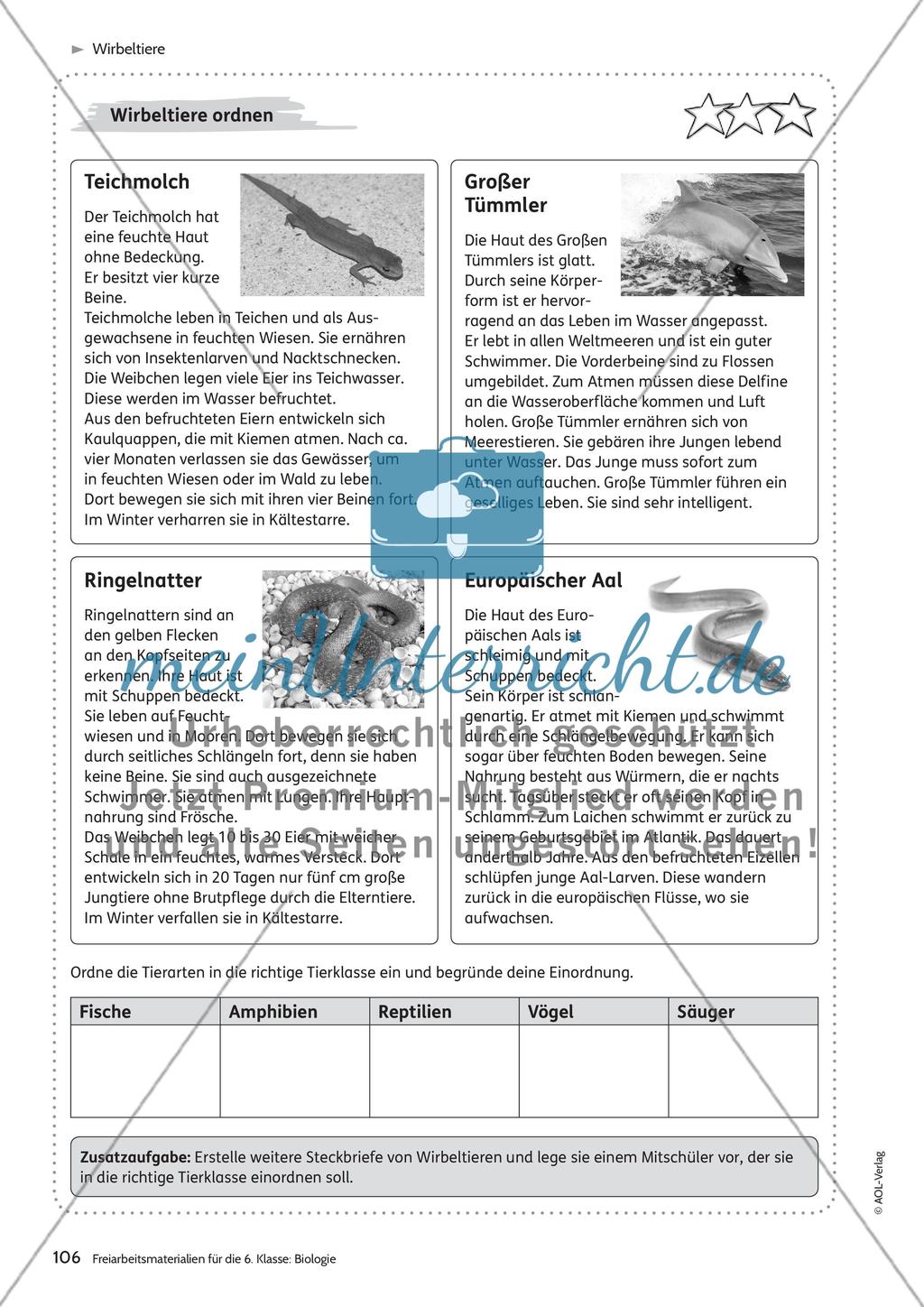 Wirbeltiere Preview 6