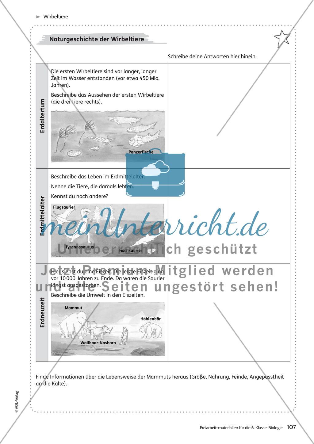 Wirbeltiere Preview 7