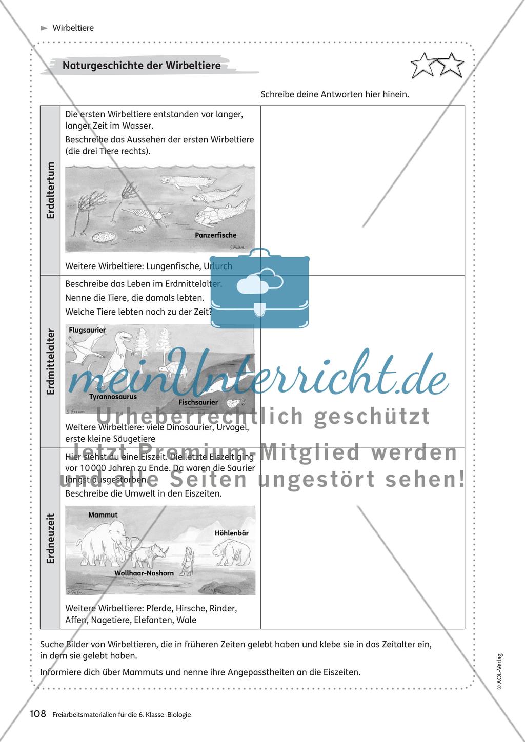 Wirbeltiere Preview 8
