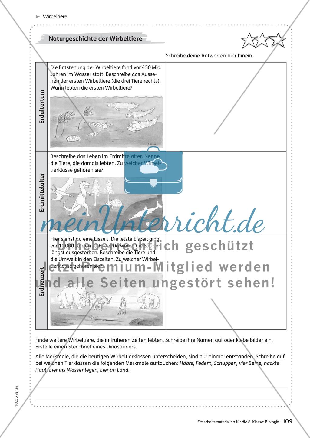 Wirbeltiere Preview 9