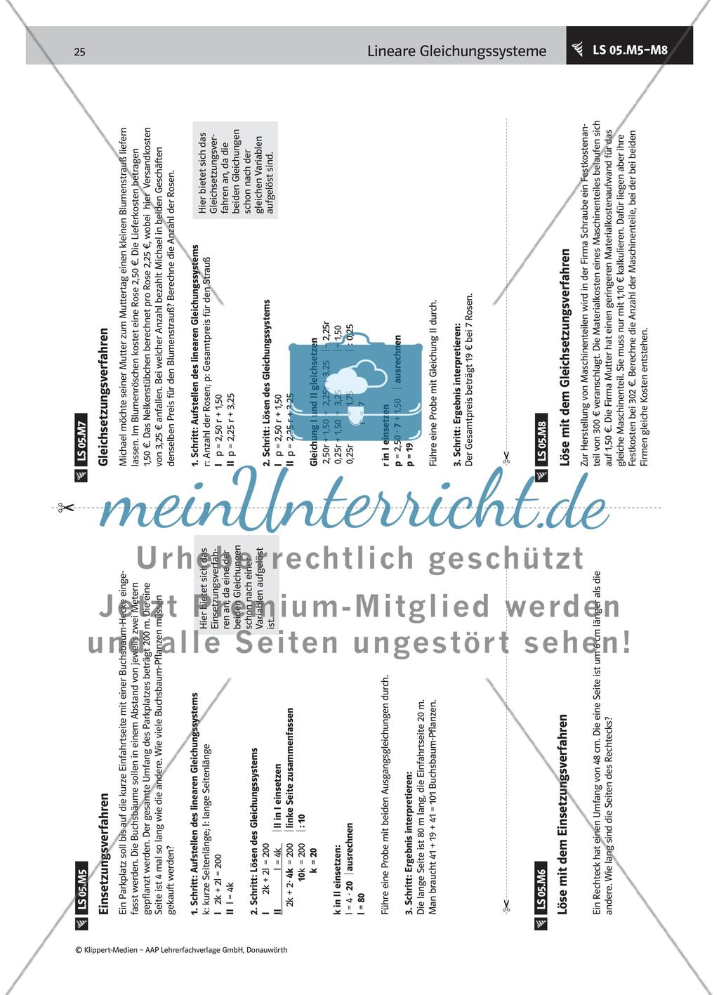 LS 05 Lösungsverfahren für LGS erarbeiten Preview 3