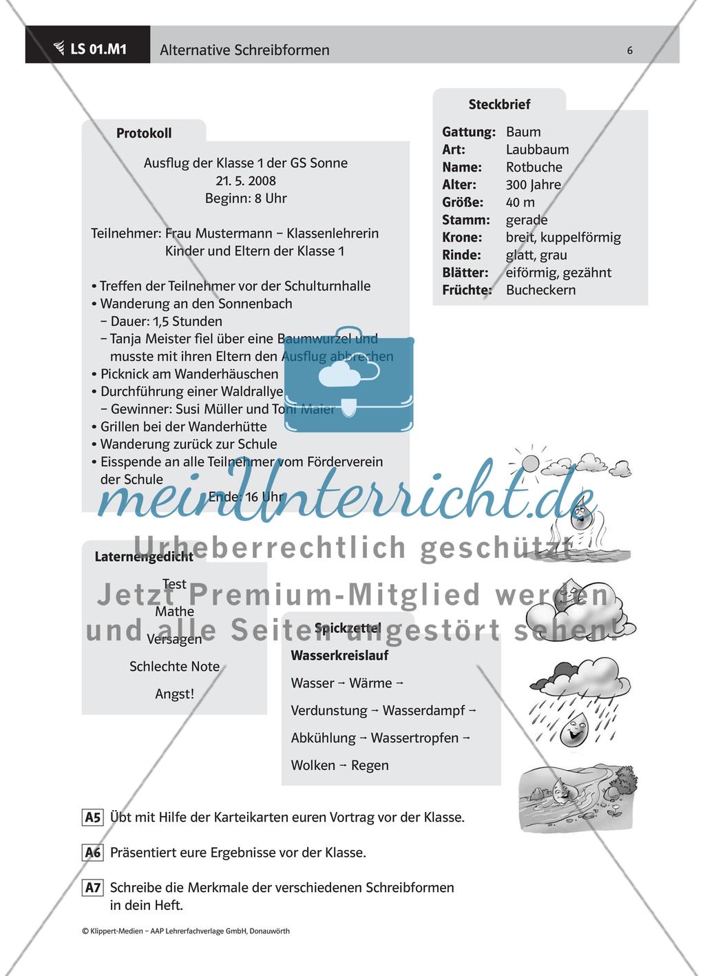 Verschiedene Schreibformen beschreiben Preview 3