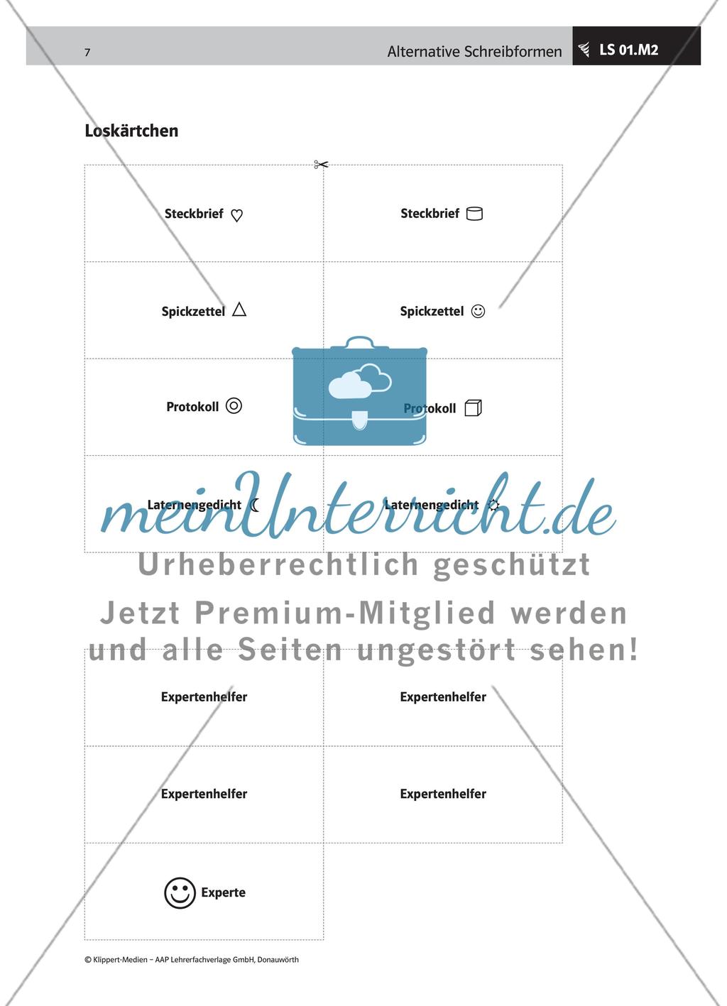 Verschiedene Schreibformen beschreiben Preview 4