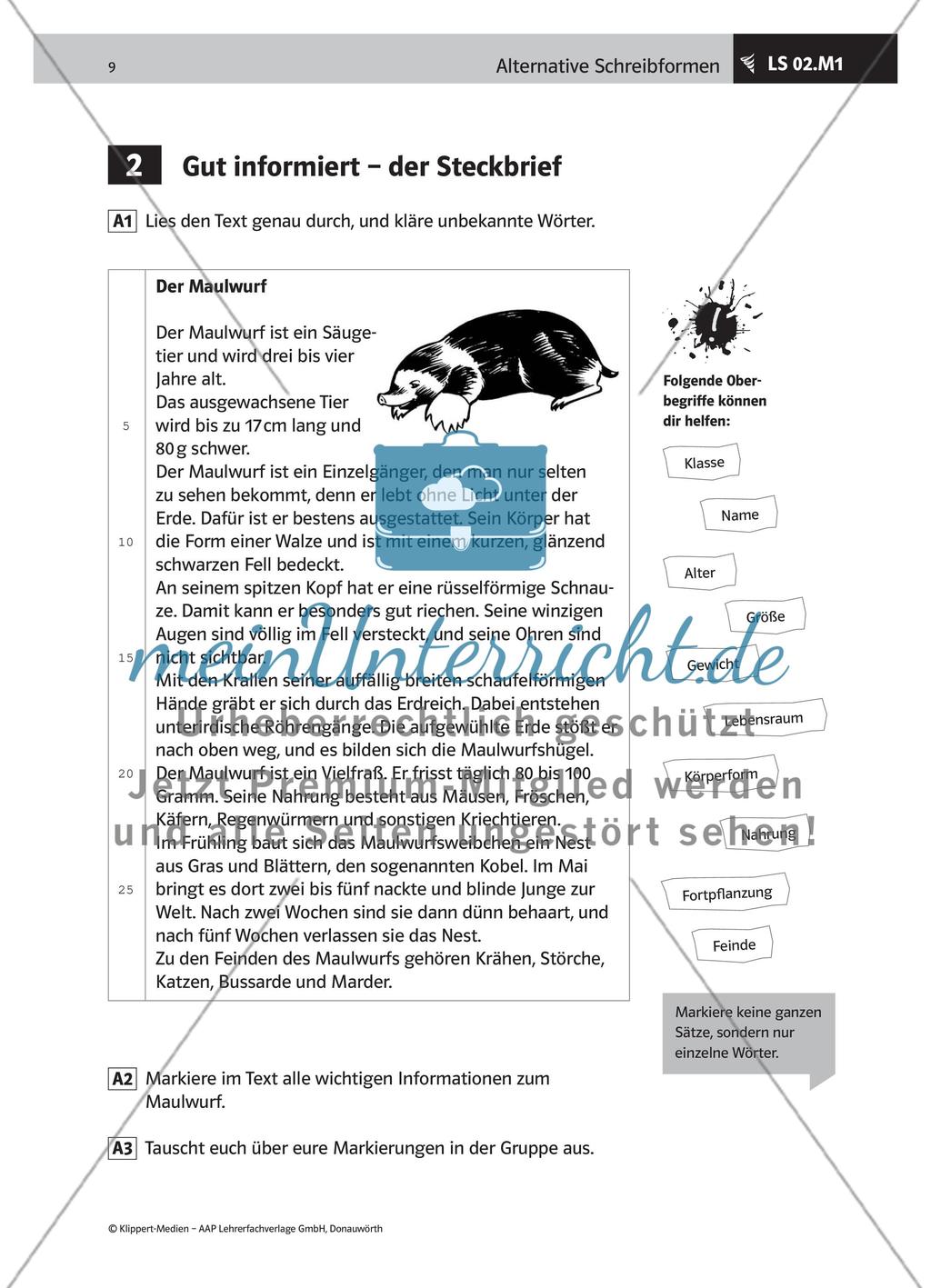 Schreibtipps für einen Steckbrief erstellen Preview 2
