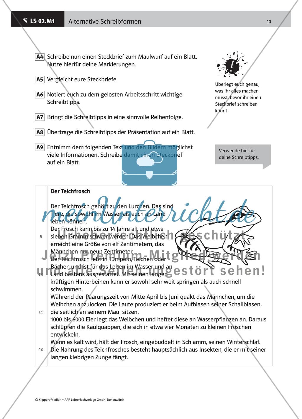 Schreibtipps für einen Steckbrief erstellen Preview 3