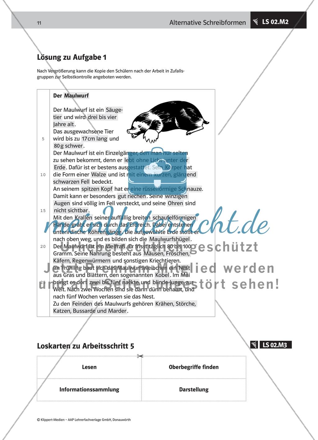 Schreibtipps für einen Steckbrief erstellen Preview 4