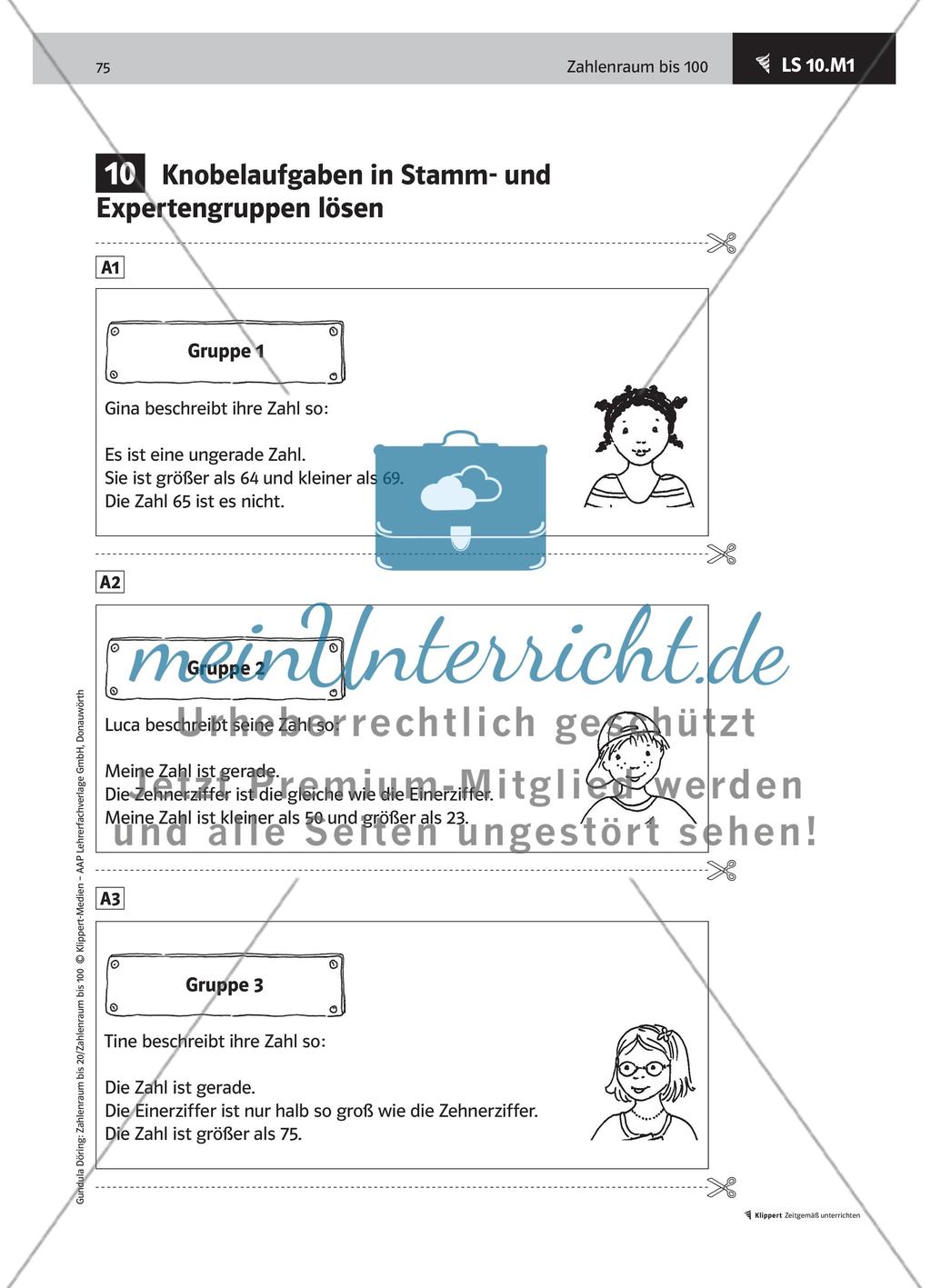 LS 10 Knobelaufgaben in Stamm- und Expertengruppen lösen Preview 2