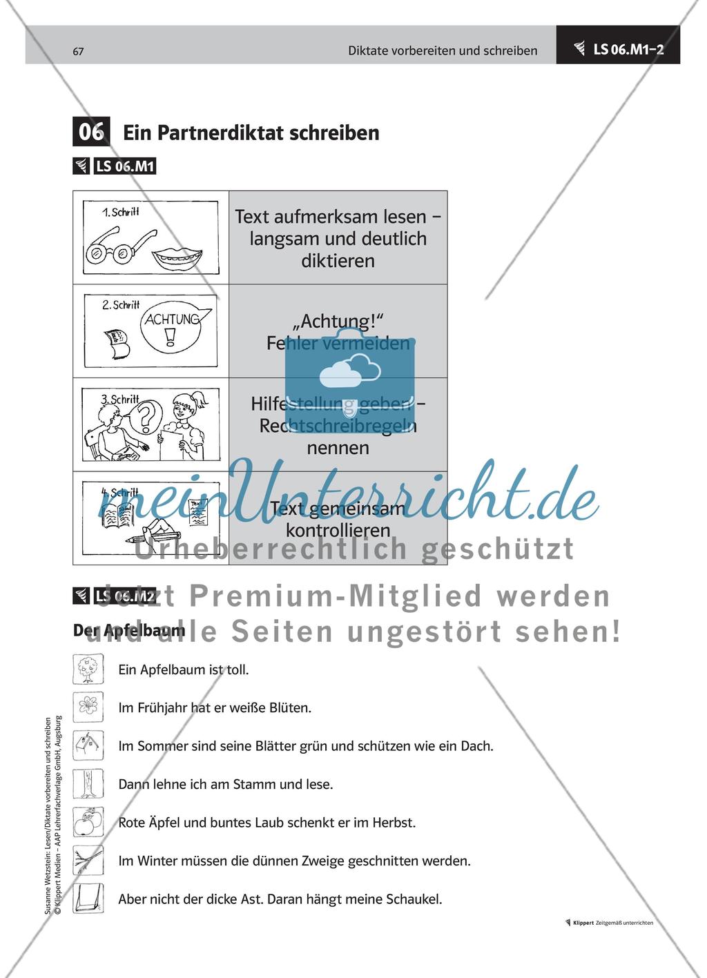 Ein Partnerdiktat schreiben Preview 2