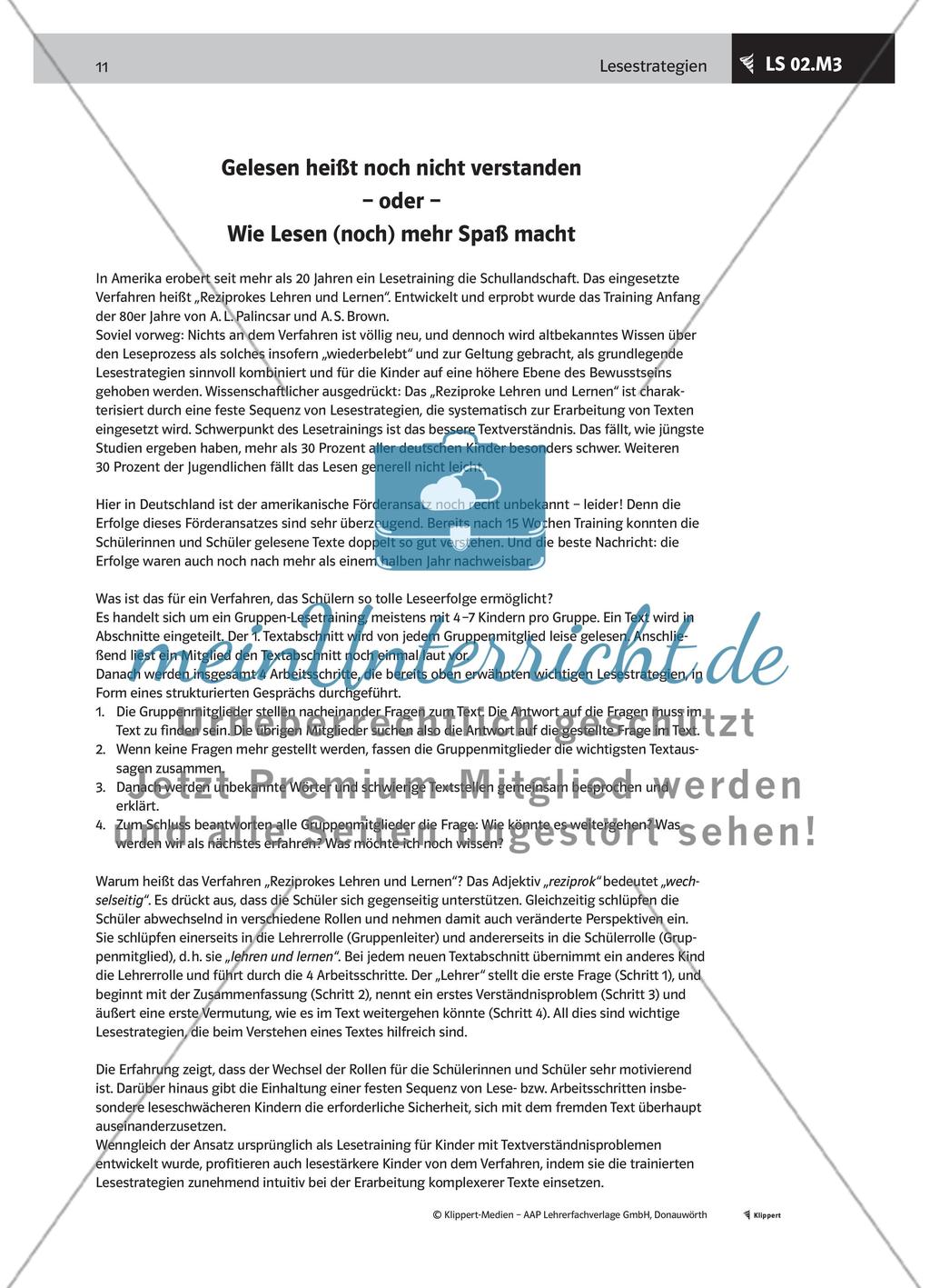 Informationen zu einen Lesetraining mehrstufig klären Preview 4