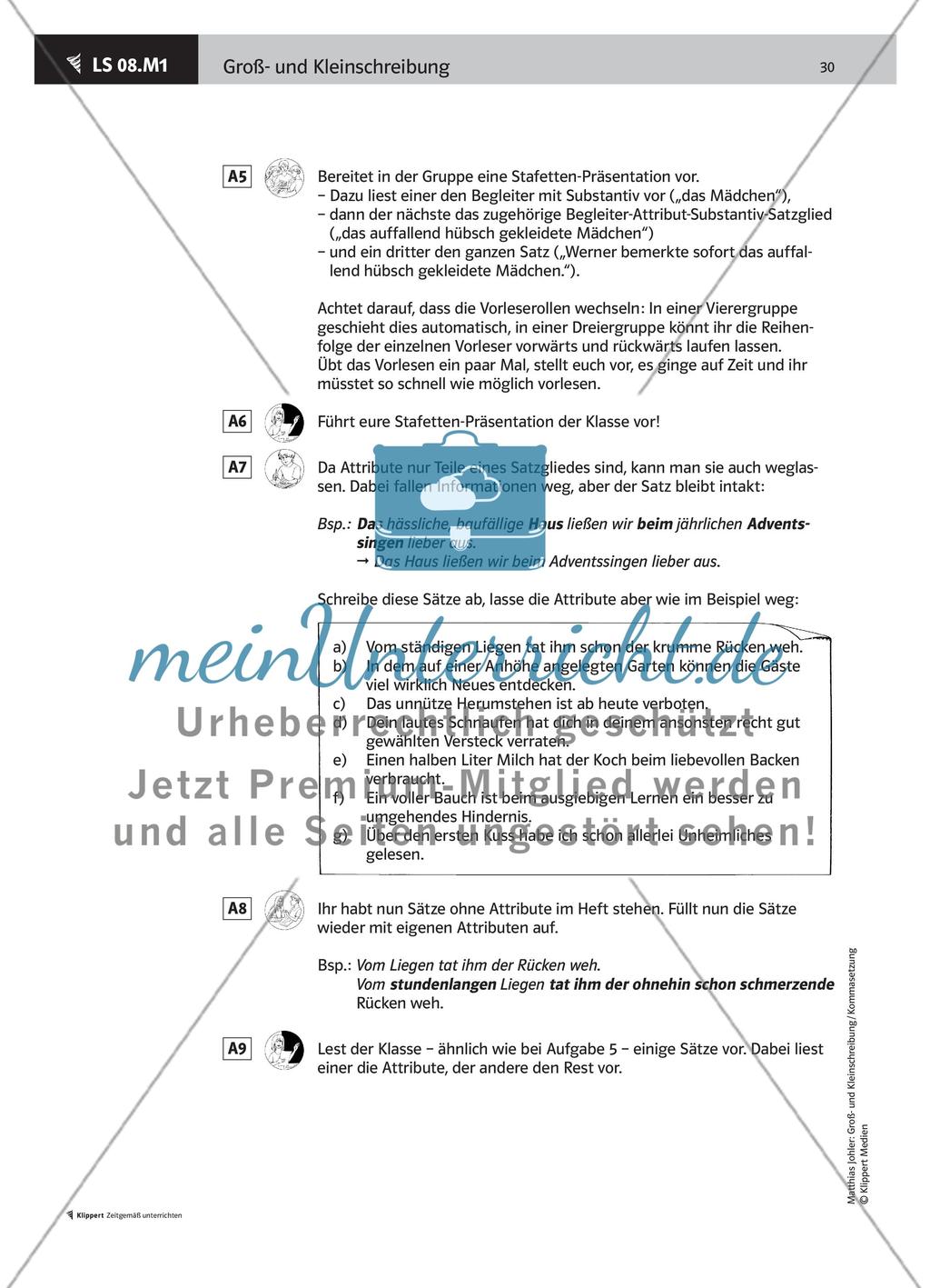Attribute zwischen Begleitern und Substantiven Preview 3