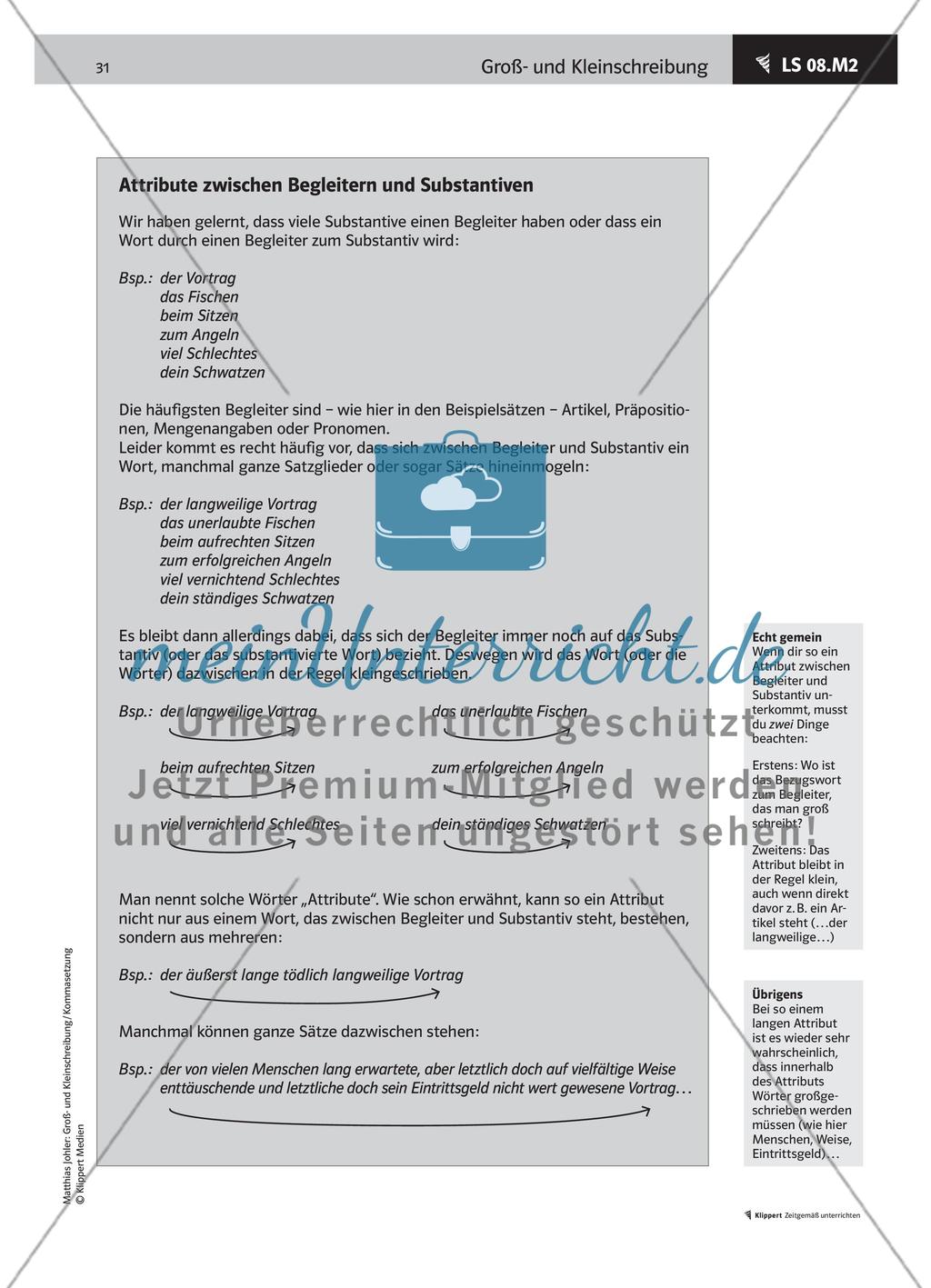 Attribute zwischen Begleitern und Substantiven Preview 4