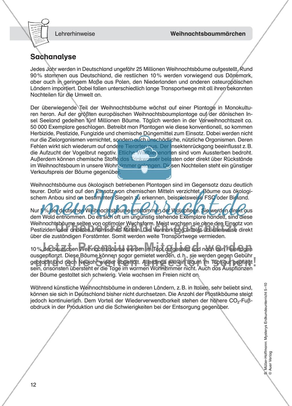 Weihnachtsbaummärchen Preview 1