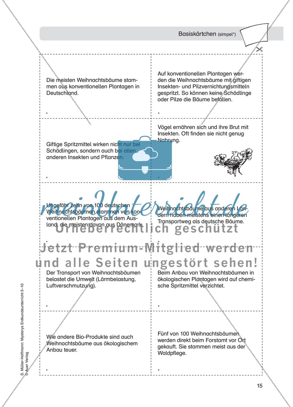Weihnachtsbaummärchen Preview 4