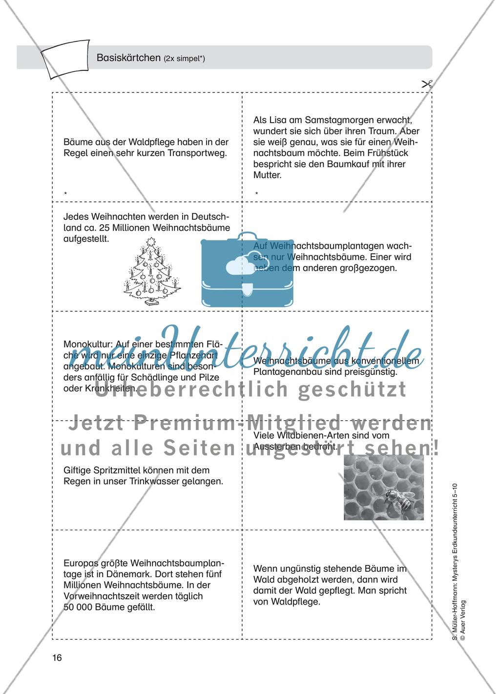 Weihnachtsbaummärchen Preview 5