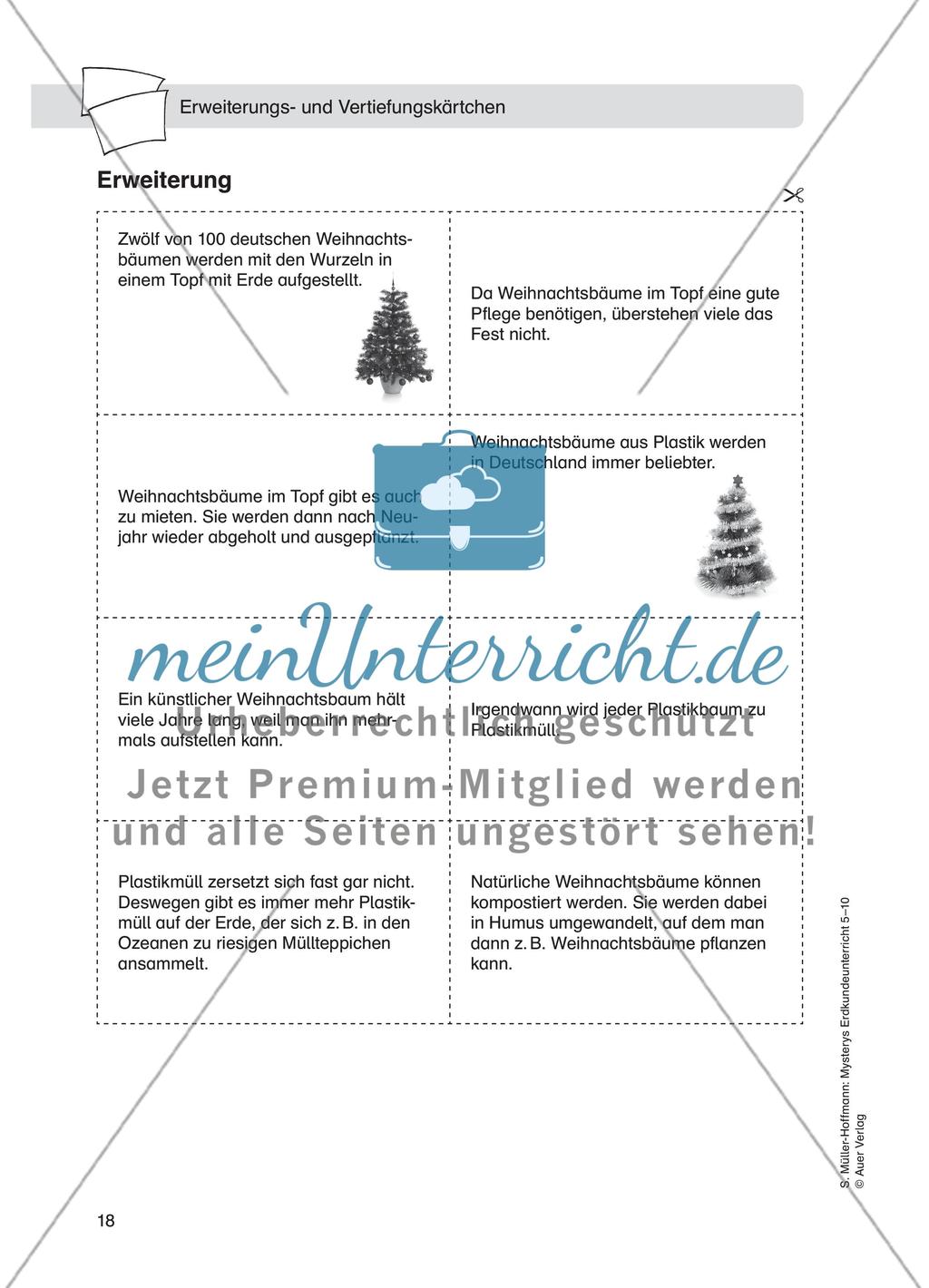 Weihnachtsbaummärchen Preview 7