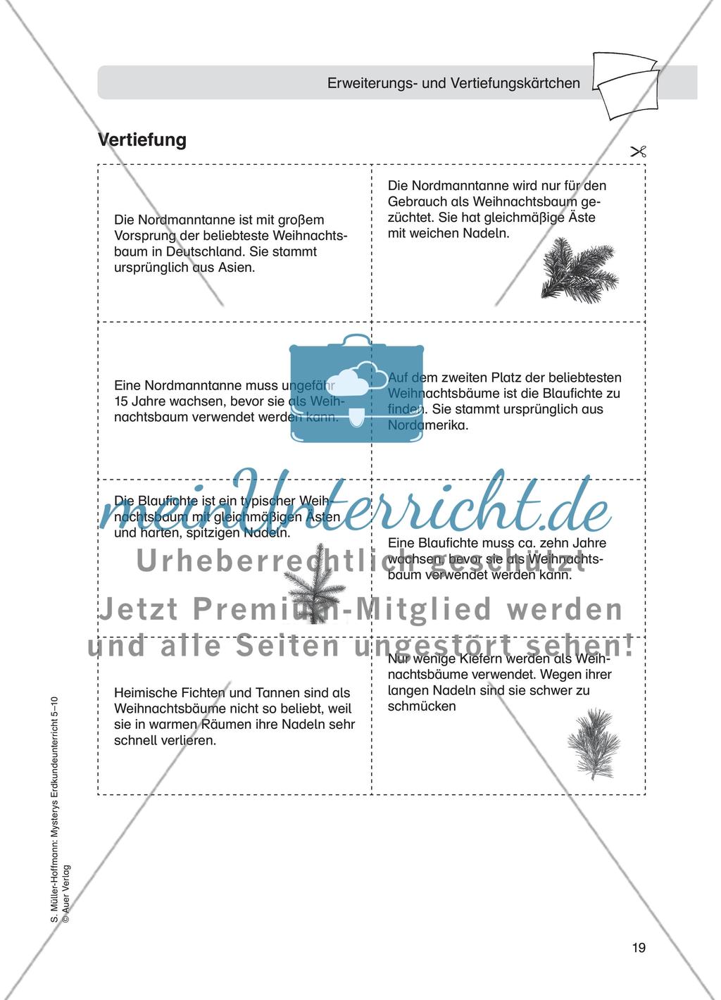 Weihnachtsbaummärchen Preview 8