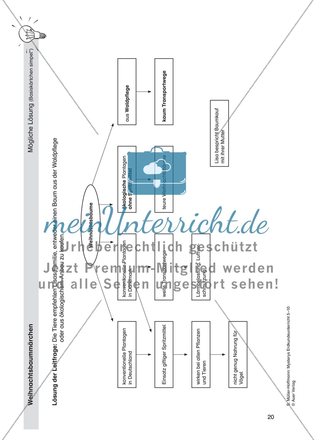 Weihnachtsbaummärchen Preview 9