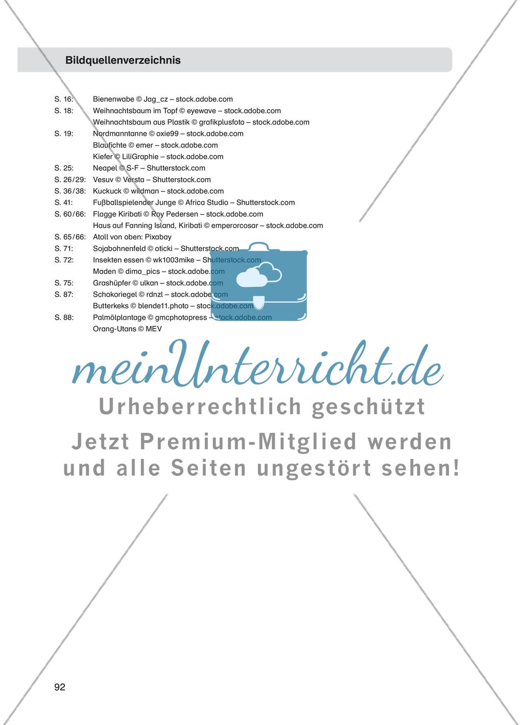 Gefahr in Verzug – Leben in Neapel am Vesuv Preview 9