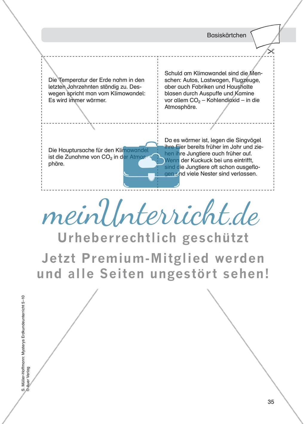 Die Kuckucksretter – Wochenmarkt versus Supermarkt Preview 6