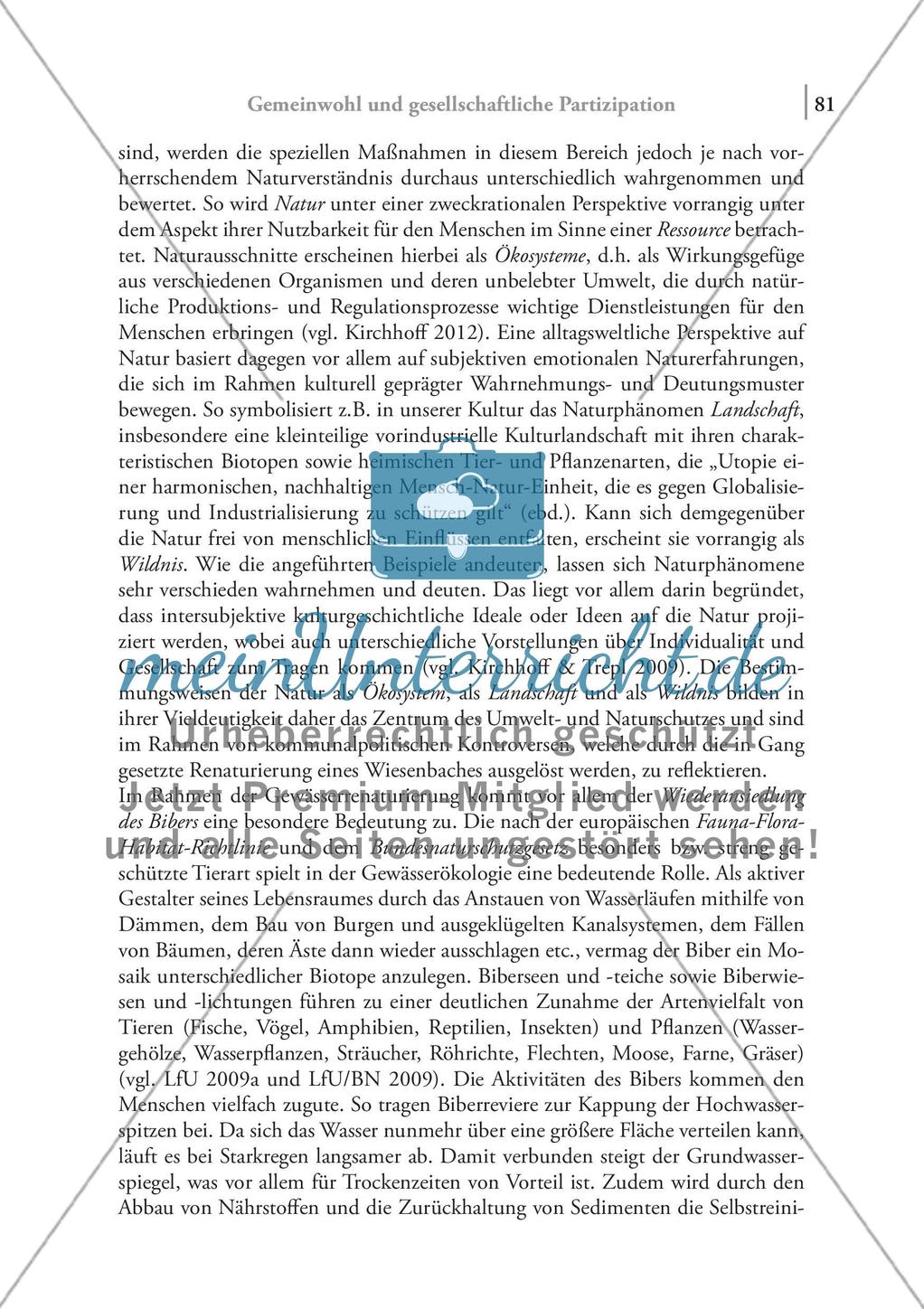 Gemeinwohl und gesellschaftliche Partizipation – Service Learning am Beispiel eines Beteiligungsprojektes zur Renaturierung eines Wiesenbaches Preview 7